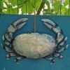 Decoratiune metal reciclat Crab